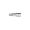 Torx bit