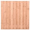 Douglas Tuinscherm 17+2 planks 180 x 180 cm