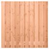 Douglas Tuinscherm 19+2 planks 180 x 180 cm